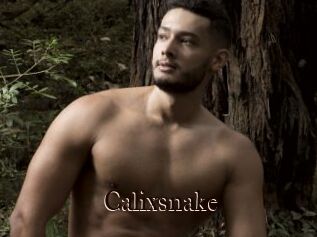 Calixsnake