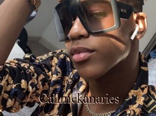 Callmekanaries
