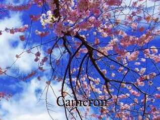 Cameron