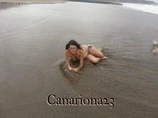 Canariona23