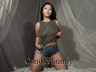 Candicebunny