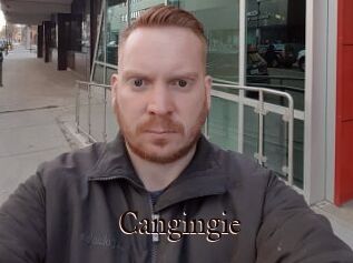 Cangingie