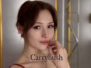 Carrybush