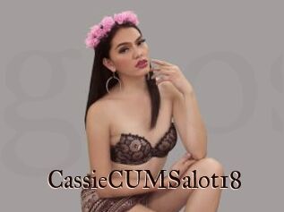 CassieCUMSalot18
