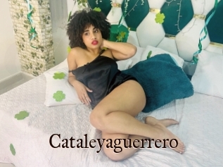 Cataleyaguerrero