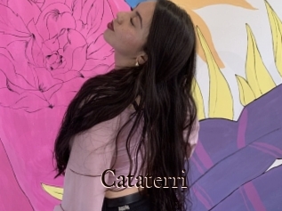 Cataterri