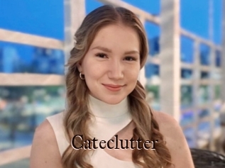Cateclutter