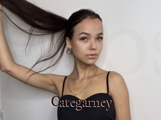 Categarney