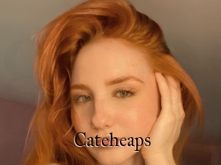 Cateheaps