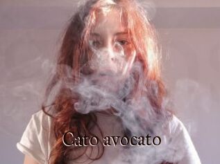 Cato_avocato