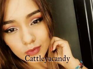 Cattleyacandy
