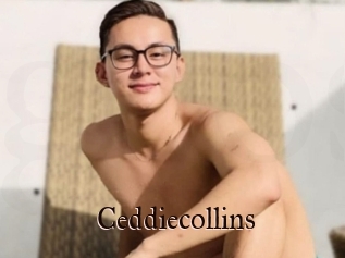 Ceddiecollins