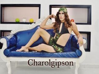 Charolgipson