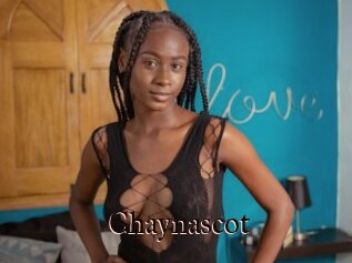 Chaynascot