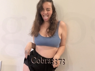 Cobra3373