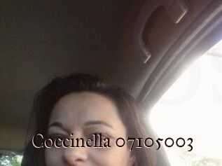 Coccinella-07105003