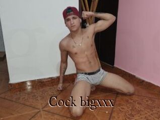 Cock_bigxxx