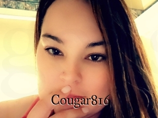 Cougar816