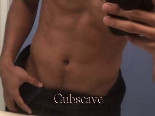Cubscave