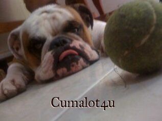 Cumalot4u