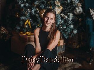DaisyDandelion
