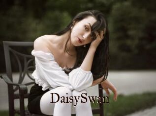 DaisySwan