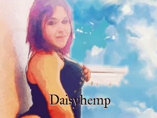 Daisy_hemp