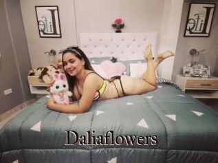 Daliaflowers