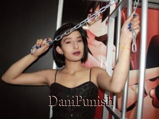 DaniPunish