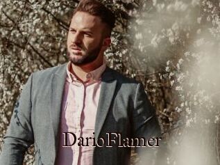 DarioFlamer