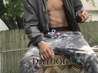 Day1DOG