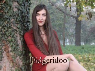Didgeridoo