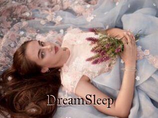DreamSleep