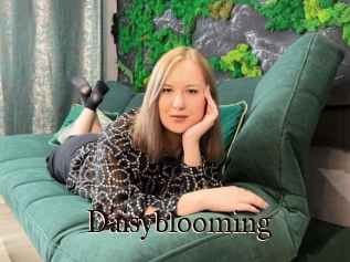 Daisyblooming