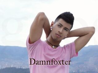 Damnfoxter