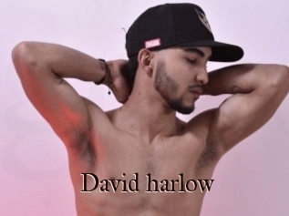 David_harlow
