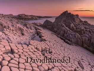 Davidhmodel