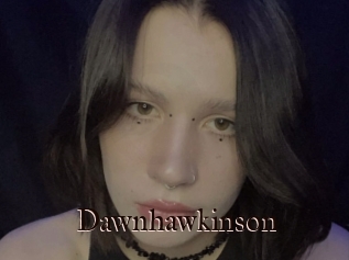 Dawnhawkinson
