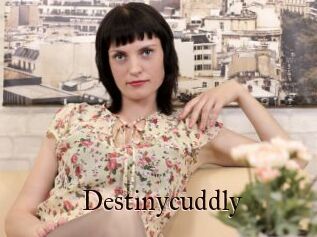 Destinycuddly