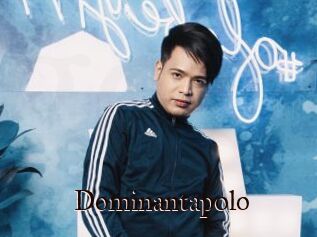 Dominantapolo