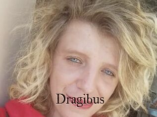 Dragibus