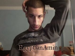 EgyptianAmin