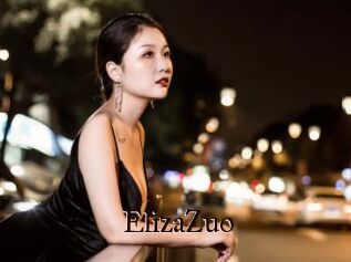 ElizaZuo