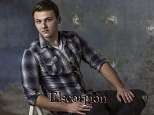 Elscorpion