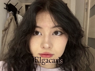 Elgacarls