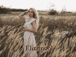 Elizamool