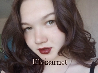 Elviaarnet