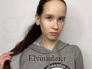 Elvinaabner