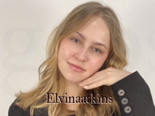 Elvinaatkins