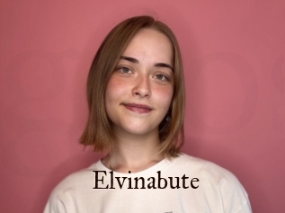 Elvinabute